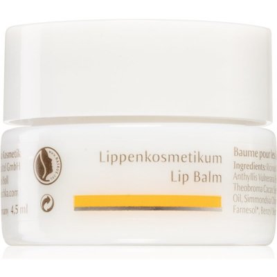 Dr. Hauschka Eye And Lip Care balzám na rty s vyživujícím účinkem 4,5 ml – Zboží Dáma