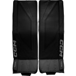 CCM Tacks INT – Zboží Mobilmania
