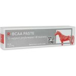 RESULT EQUINE R BCAA Paste 60 ml – Hledejceny.cz