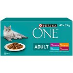 Purina ONE Adult hovězí jehněčí kuřecí mořské ryby 40 x 85 g – Hledejceny.cz