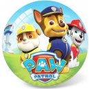  Míč Paw Patrol Team malý