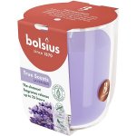 Nohel Garden TRUE SCENTS LEVANDULE 125g – Hledejceny.cz