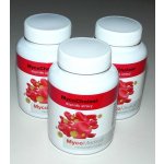 MycoMedica MycoCholest 3 x 120 kapslí – Zboží Dáma