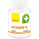 Wolfberry Vitamín D 120 kapslí – Hledejceny.cz