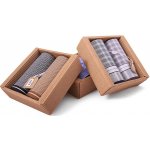 Pánské kapesníky Etex M51 2 ks – Zbozi.Blesk.cz