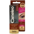 Delia Cosmetics Cameleo krémová profesionální barva na obočí 4.0 Brown 15 ml