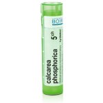 CALCAREA PHOSPHORICA POR 5CH GRA 1X4G – Hledejceny.cz