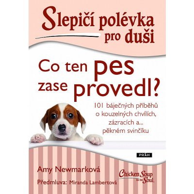 Slepičí polévka pro duši: Co ten pes zase provedl?: 101 báječných příběhů o kouzelných chvílích, zázracích a... pěkném svinčíku - Amy Newmark, Miranda Lambertová – Zbozi.Blesk.cz