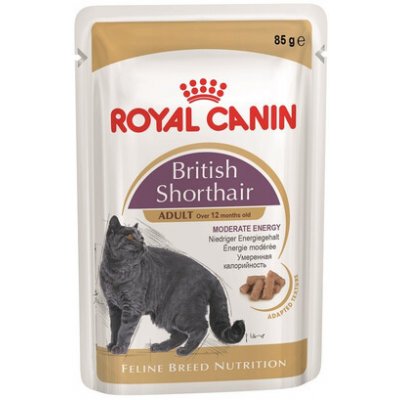 Royal Canin British Shorthair Gravy pro britské krátkosrsté kočky ve šťávě 48 x 85 g