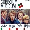 Hudba Collegium Musicum - Collegium Musicum LP