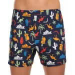 Cornette Classic 001/149 pánské boxerky – Hledejceny.cz