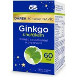 GS Ginkgo 2023 60 mg s hořčíkem 90+30 tablet – Sleviste.cz