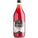 Acetificio Andrea Milano Vinný ocet červený 1000 ml