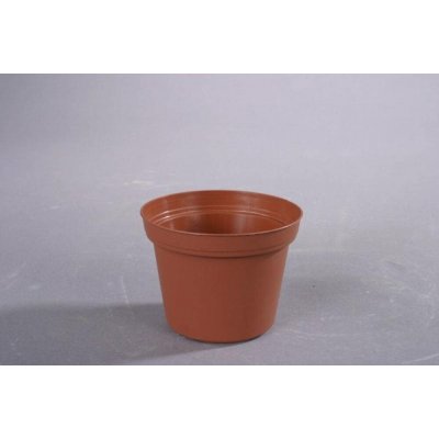 květ. d12cm PREMIUM VCG /leh 10 kusů – Hledejceny.cz
