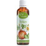 Serafin tinktura z bylin Tykev 50 ml – Hledejceny.cz