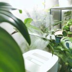 Stadler Form Eva White – Zboží Dáma