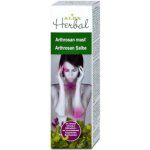 Alpa Herbal Arthrosan mast při akutních a chronických bolestech 30 g – Zboží Mobilmania