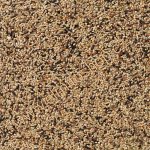 Deli Nature 70 Neophemas Premium 4 kg – Hledejceny.cz