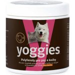 Yoggies Antioxidant polyfenoly v prášku 150 g – Hledejceny.cz