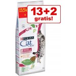 Cat Chow Kitten kuře 15 kg – Sleviste.cz