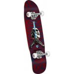 Powell Peralta Mini Skull and Sword – Sleviste.cz