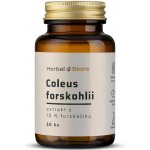 Coleus forskohlii kapsle extrakt s 10% forskolin 50 kapslí – Hledejceny.cz
