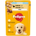 Pedigree Junior kuřecí s rýží v želé 100 g – Hledejceny.cz