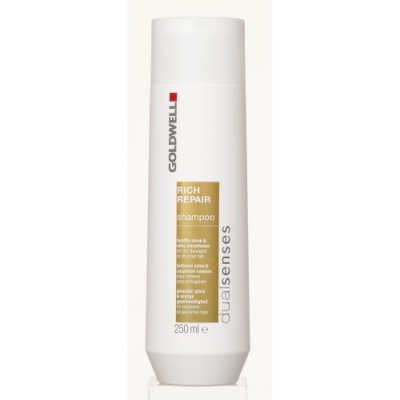 Goldwell Dualsenses Rich Repair Shampoo 250 ml – Hledejceny.cz