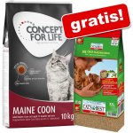 Concept for Life Maine Coon Adult 10 kg – Hledejceny.cz