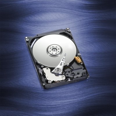 WD Blue 500GB, WD5000LPCX