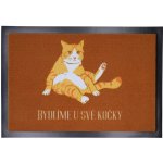 Mercury Flooring Bydlíme u své kočky Oranžová 40x60 cm – Zboží Dáma