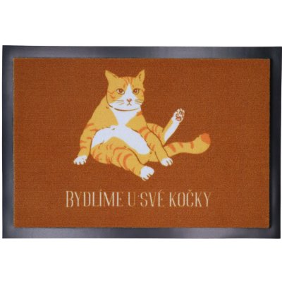 Mercury Flooring Bydlíme u své kočky Oranžová 40x60 cm – Zboží Dáma