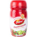 Dabur ajurvédské tonikum CHYAWANPRASH 1 kg – Hledejceny.cz