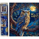 Norimpex Diamantový obrázek malování 30 x 40 cm Sova na stromě v noci – Hledejceny.cz