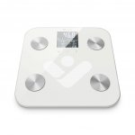 TrueLife FitScale W6 BT – Zbozi.Blesk.cz