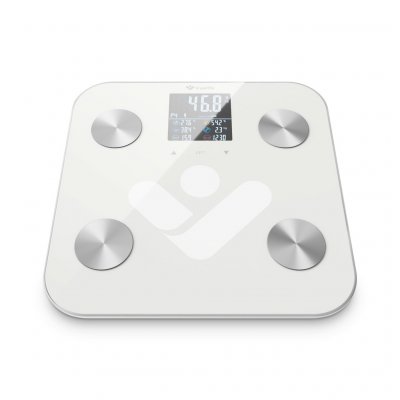 TrueLife FitScale W6 BT – Sleviste.cz