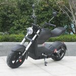 EcoWheel GR25 1500W 40Ah černá matná – Hledejceny.cz