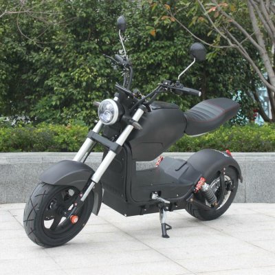 EcoWheel GR25 1500W 40Ah černá matná – Hledejceny.cz