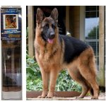 NORIMPEX Diamantové malování Německý ovčák 30 x 40 cm – Hledejceny.cz