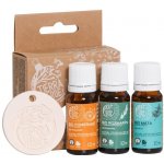 Tierra Verde Zimní sada BIO esenciálních olejů s odpařovačem 3 x 10 ml – Zboží Mobilmania