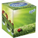 Q soft papírové kapesníčky kostka 3-vrstvy berušky 60 ks – Zboží Dáma