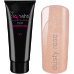 Ráj nehtů Akryl gel v tubě Glimmer Dusty Rose 30 g – Zboží Dáma
