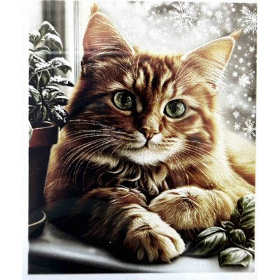 Norimpex diamantové malování 30 x 40 cm Kočka v okně se sněhovými vločkami – Sleviste.cz