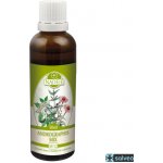 Naděje Andrographis mix SV12 50 ml – Hledejceny.cz