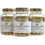 Golden Nature Exclusive Ostropestřec mariánský komplex 300 kapslí – Hledejceny.cz