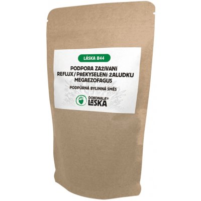 Dokonalá Láska LÁSKA B44 PODPORA ZAŽÍVÁNÍ-REFLUX-PŘEKYSELENÍ ŽALUDKU-MEGAEZOFAGUS 200 g – Hledejceny.cz