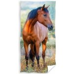 Carbotex dětský froté ručník kůň hnědák na louce 30 x 50 cm hnědá – Hledejceny.cz