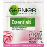 Garnier Essentials 24h hydratační krém se zmatňujícími výtažky z lopuchu 50 ml – Hledejceny.cz