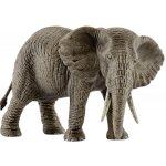 Schleich Africká slonice – Zbozi.Blesk.cz