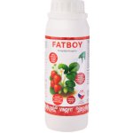 Vínofit FAT BOY 200 g – Hledejceny.cz